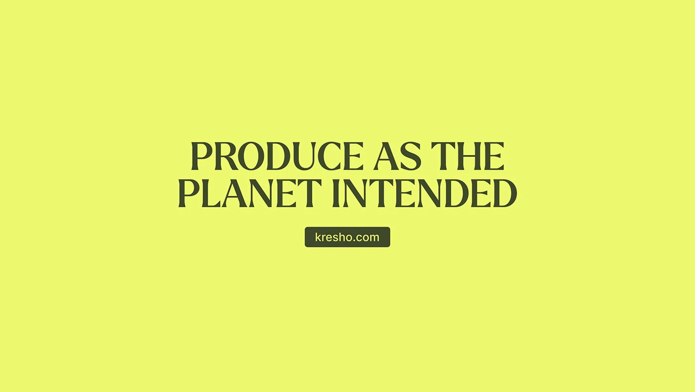 Kresho, presentation slide 9 of 26